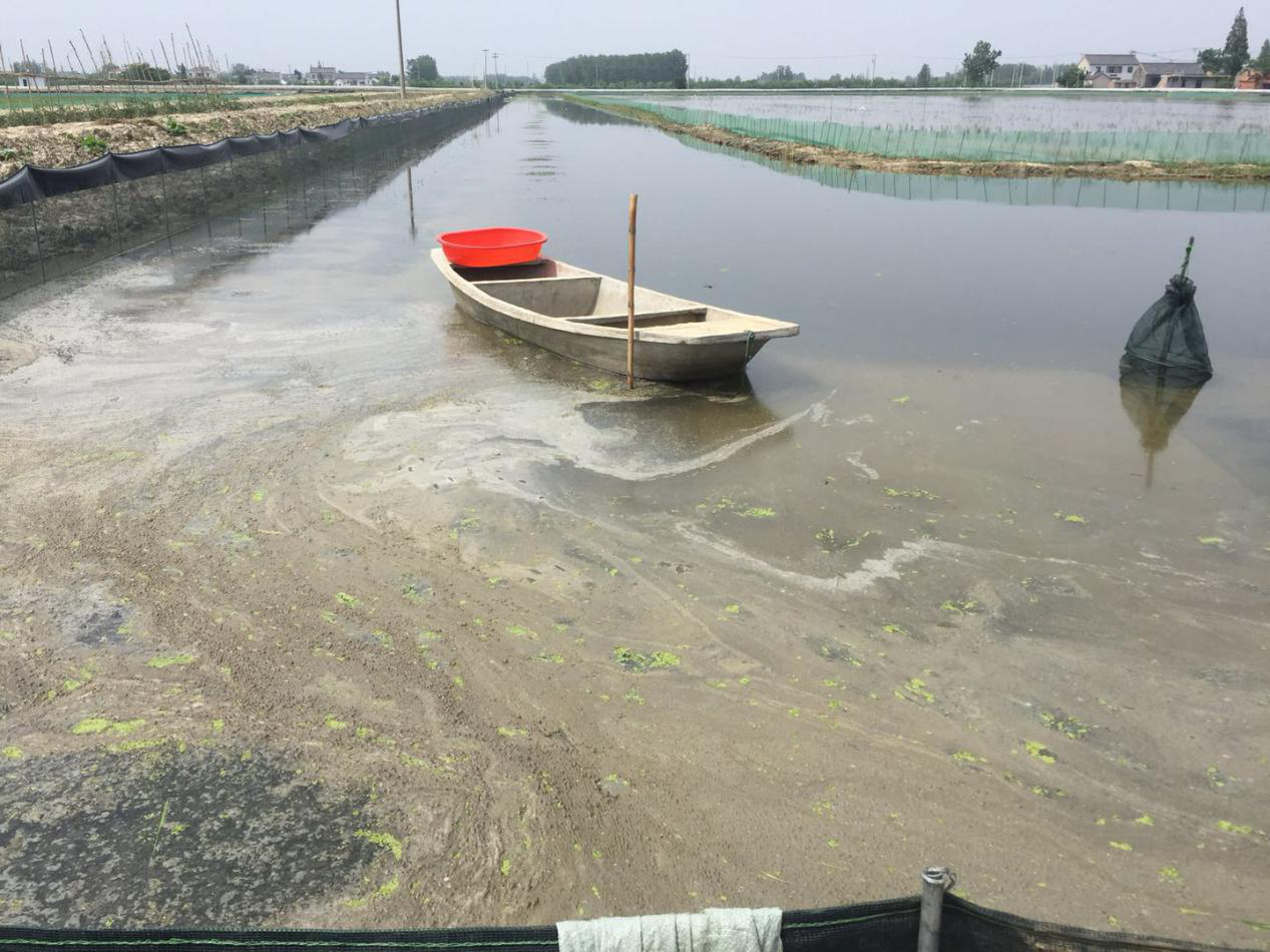 油膜过多水质混瘦案例分享